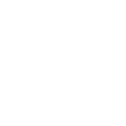 Core switch icon