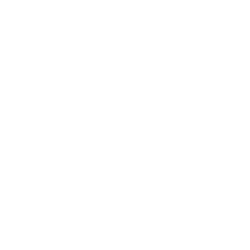 Ice icon